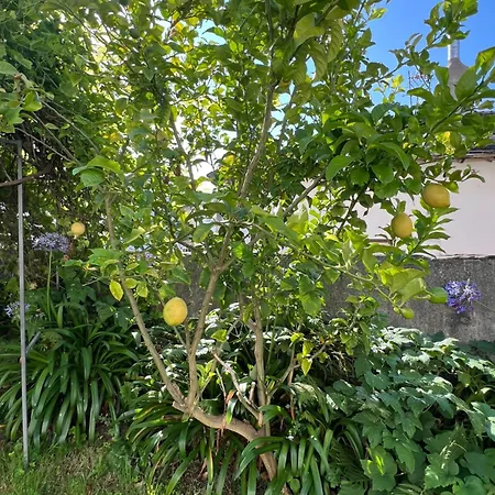 Casona Puerto de Vega