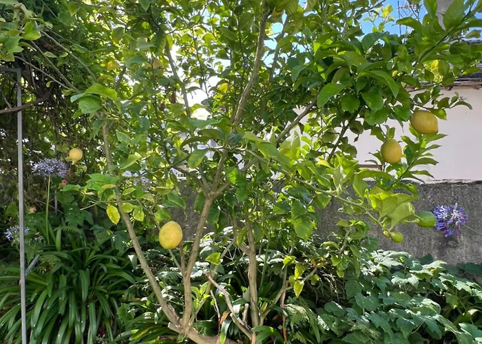 Casona Puerto de Vega