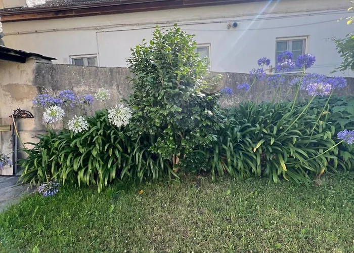 Casona Сasa de vacaciones *